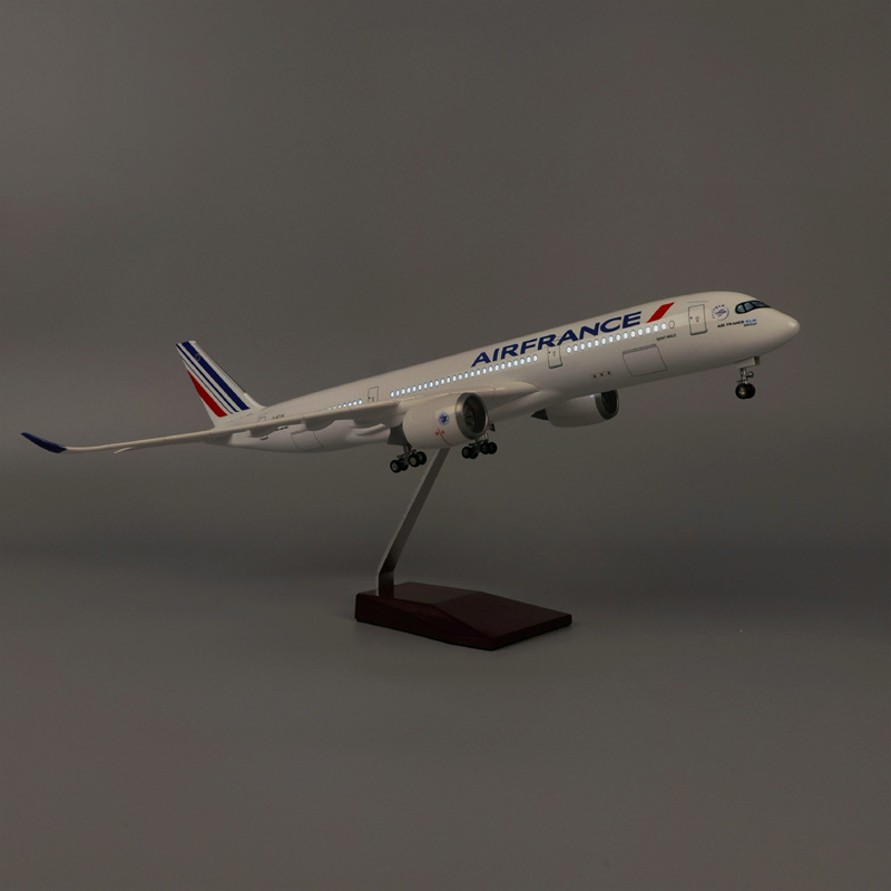 47cm Air France A350 Model Air - огляд і ціна Model Kit Airplane